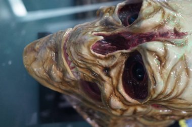  Alien vs Predator. Prag 30.3.2018 Film Müzesi efsanelerde.