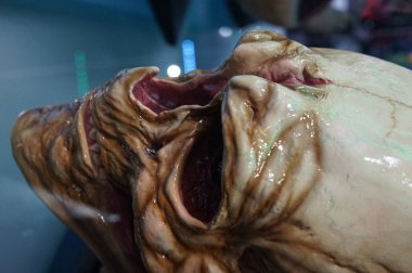  Alien vs Predator. Prag 30.3.2018 Film Müzesi efsanelerde.