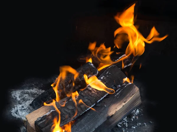 Foto: fogata | Fogata de playa en el lago con playa de arena — Foto de