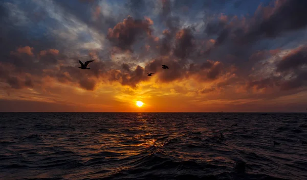 Sunset over sea. Seagulls over the sea at sunset.