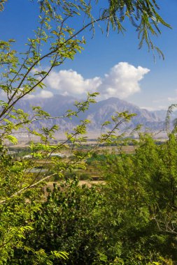 Yeşil ağaçların arasından güzel görünüm