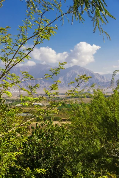 Yeşil ağaçların arasından güzel görünüm