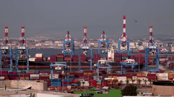 Israel Puerto Industrial Haifa Secuencias Video Lapso Tiempo Medio Día — Vídeos de Stock