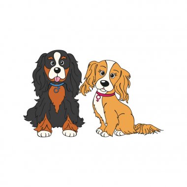 Cavalier king charles spaniel köpek doğurmak vintage