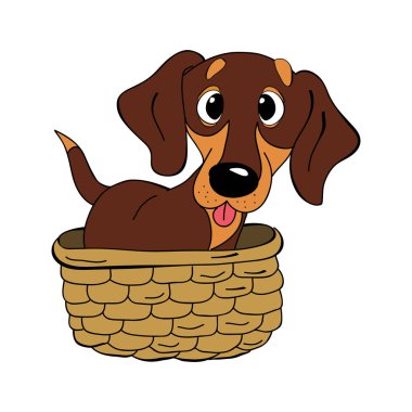 Dachshund Köpek doğurmak vintage vektör çizim