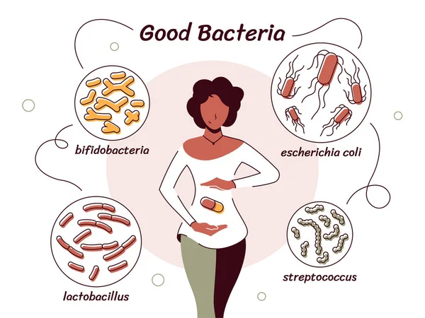 Ilustración vectorial de bacterias útiles para el cuerpo humano — Vector de stock