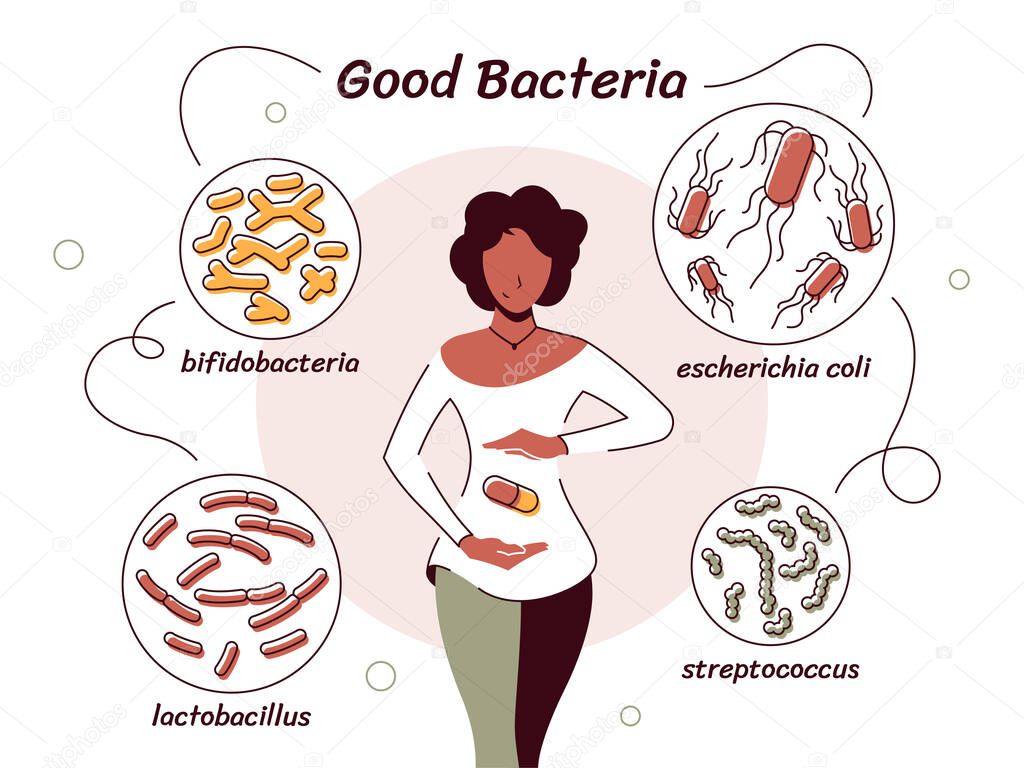 Vector illustration of bacteria useful to the human body