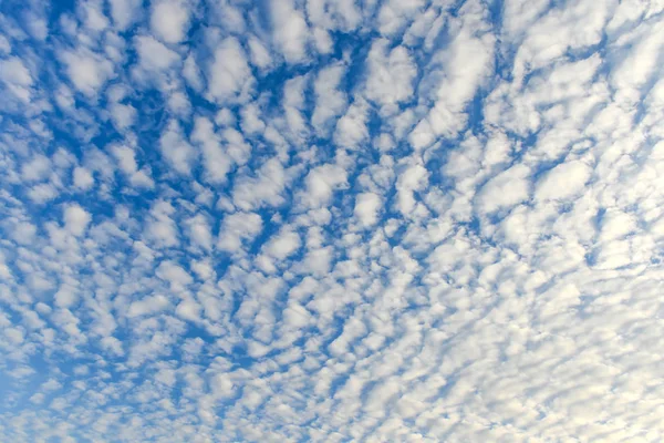 O céu azul e as nuvens brancas fofas — Fotografia de Stock