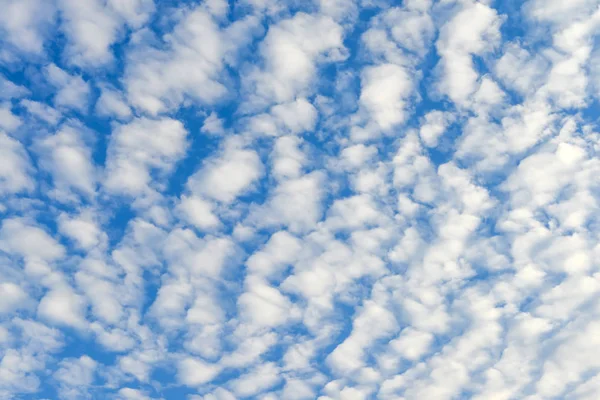 El cielo azul y las nubes blancas esponjosas — Foto de Stock