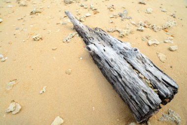 Eski ahşap kum plaj 