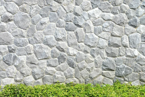 Grijze Stenen Muur Groene Boom Voor Achtergrond — Stockfoto
