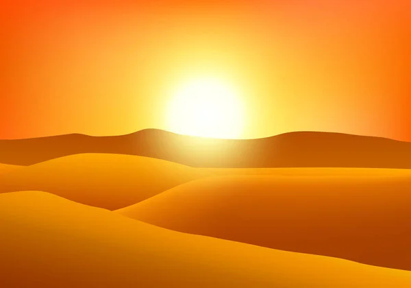 Wüste bei Sonnenuntergang. — Stockvektor