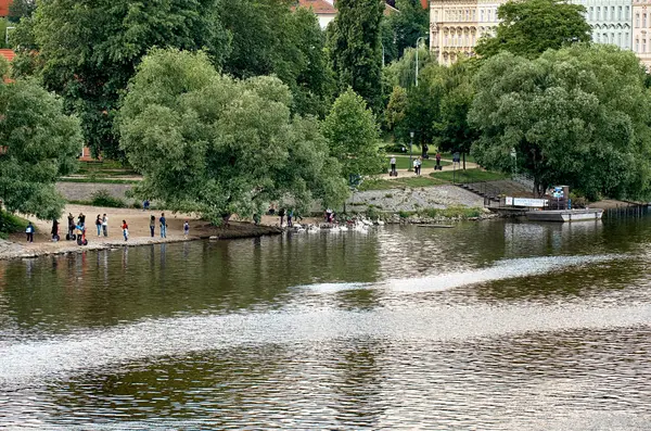 Чехия Прага Река Влтава Праге Июня 2016 — стоковое фото