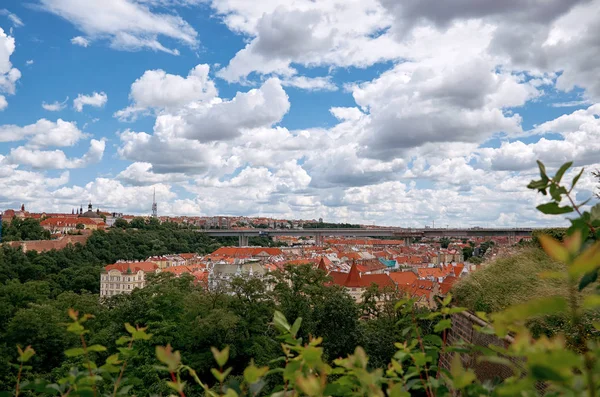 Tsjechische Republiek Praag Het Uitzicht Vanuit Hoogte Huizen Praag — Stockfoto