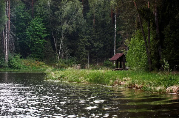 Арбор Річці Поруч Лісом Місце Туристів Щоб Відпочити — стокове фото