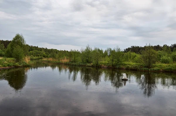 Fiume Sullo Sfondo Una Foresta Alberi Verdi — Foto Stock