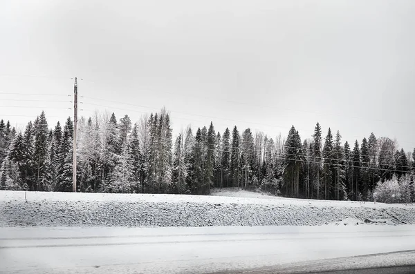 ロシア カレリア カレリアン 雪の木 — ストック写真