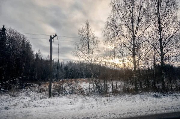 Россия Карелия Карельские Леса Зимой Деревья Снегу — стоковое фото