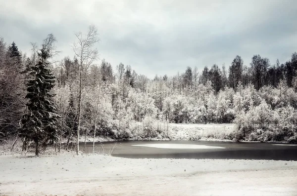 Rusko Karélie Karelské Lesy Zimě Stromy Sněhu — Stock fotografie