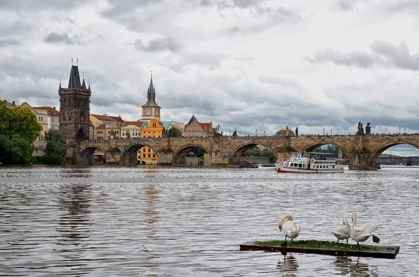 捷克共和国 布拉格 在布拉格的查尔斯桥背景下 伏尔塔瓦河河上的小船 2016年6月17日 — 图库照片