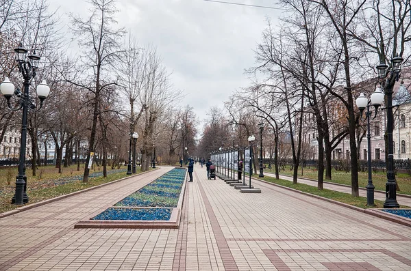 Rosja Moskwa Park Moskwie Stawy Czyste Listopada 2017 — Zdjęcie stockowe