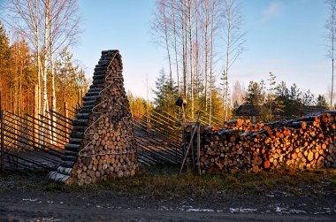Karelya. Karelya Büyükbaba Frost kış Ukko atası. Köpek çocuk odası. 14 Kasım 2017