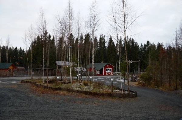 Rusia Karelia Territorio Del Vivero Perros Talvi Ukko Noviembre 2017 — Foto de Stock