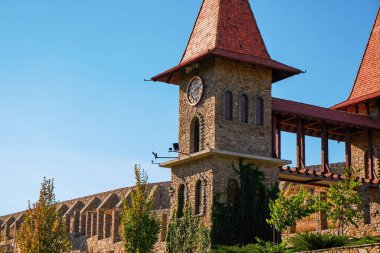 - Rusya. Kamensk-Shakhtinsky Rostov bölgesi. Eski köy. Manzara parkının bölgesi 