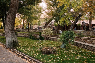 - Rusya. Kamensk-Shakhtinsky Rostov bölgesi. Eski köy. Manzara parkının bölgesi 