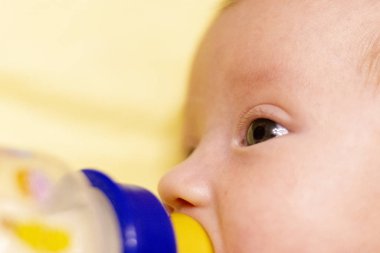 şirin anne sevimli oğlu evde mutfakta besleme