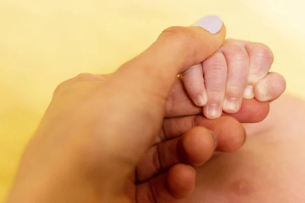 Small newborn baby holding the handle of the mother — Stock Photo, Image