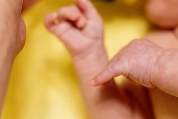 Ett litet nyfött barn som håller i moderns handtag — Stockfoto