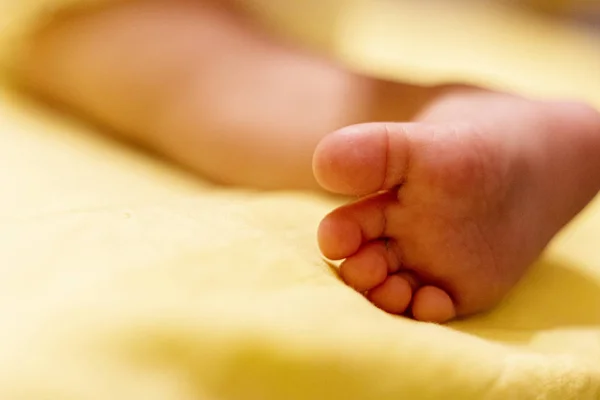 Palce. nogi noworodka — Zdjęcie stockowe