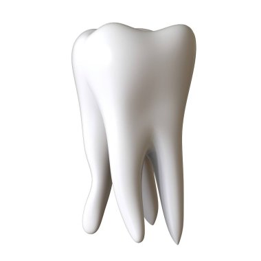 A man's root tooth on a white background. Isolate.