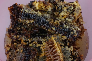 bal peteği beyaz arkaplanda izole edildi