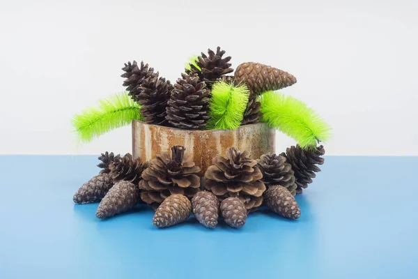 Ramo de pinheiro e cones isolados em branco — Fotografia de Stock