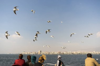 Martı. arkasında gemiler denizde uçan martılar.