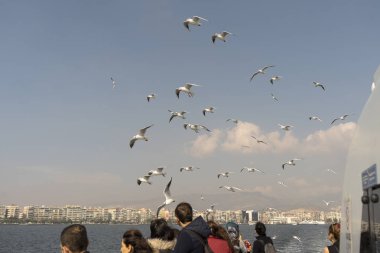 Martı. arkasında gemiler denizde uçan martılar.