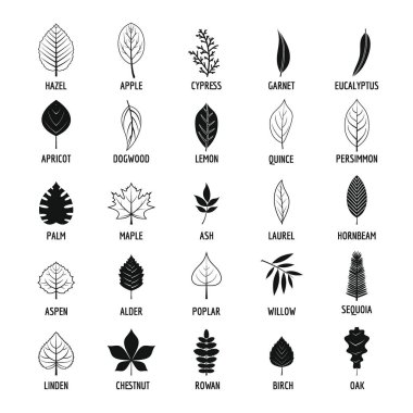 Leaf icons set, simple style clipart