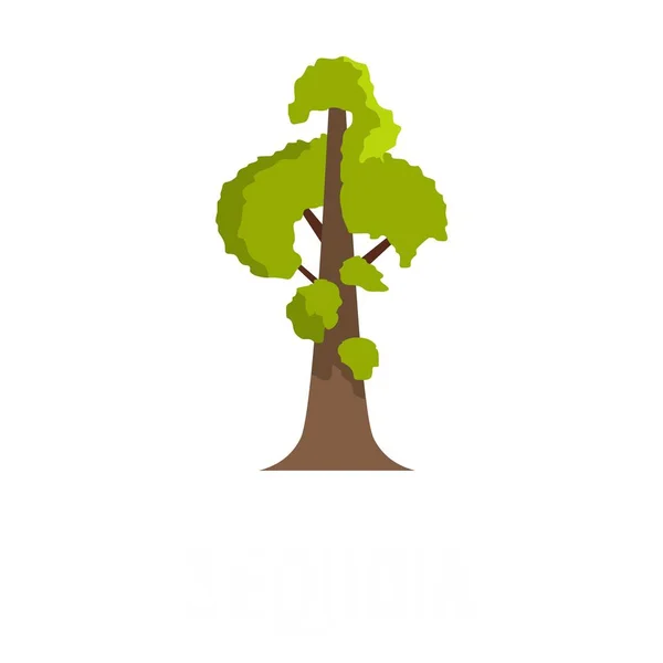 Sequoia pictogram, vlakke stijl — Stockvector