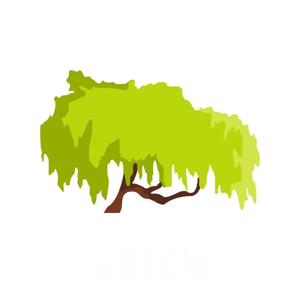 Willow tree icon, flat style — Stock Vector