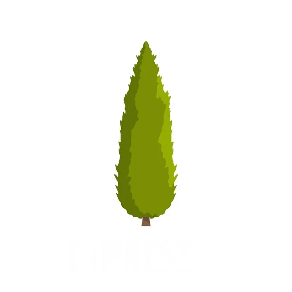 Cypress tree icon, flat style