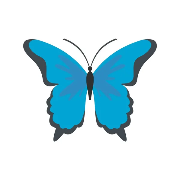 Insect butterfly icon, flat style. — Stock Vector