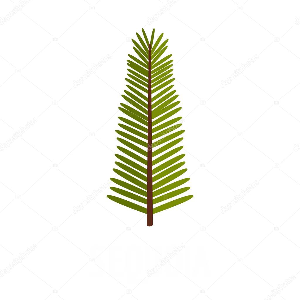 Sequoia leaf icon, flat style