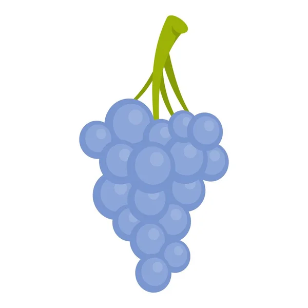 Icono de uvas Isabella, estilo de dibujos animados — Archivo Imágenes Vectoriales