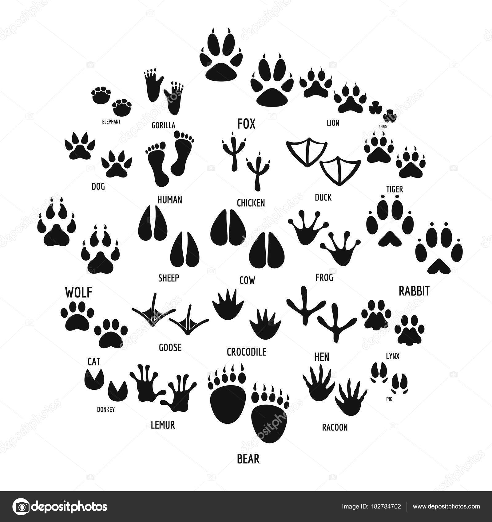 Animal footprint icons set, simple style Stock Vector Image by