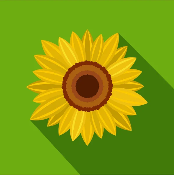 Яскрава соняшникова ікона, плоский стиль — стоковий вектор
