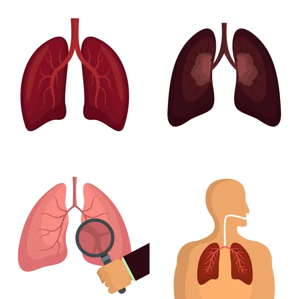 Órgano pulmonar iconos de respiración humana conjunto vector aislado — Vector de stock