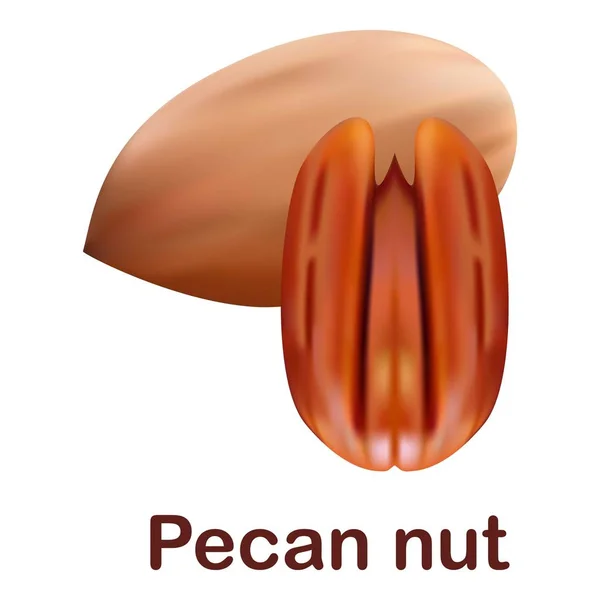 Icône de noix de pécan, style réaliste — Image vectorielle