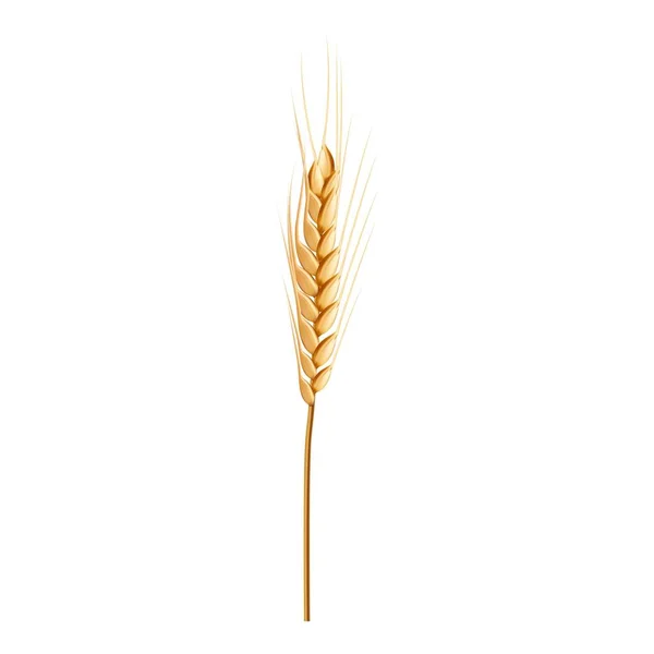 Ikona pszenicy naturalny, realistyczny styl — Wektor stockowy